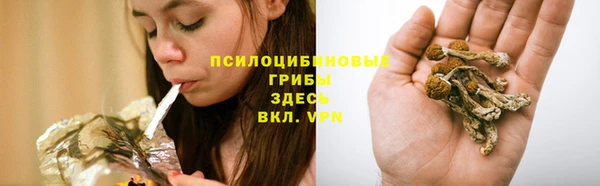 mix Баксан