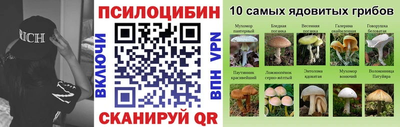 Псилоцибиновые грибы Magic Shrooms  Славянск-на-Кубани 
